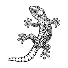 Gecko black and white silhouette vector graphic.
