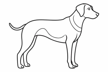 Dog line art vector illustration.  A outline dog vector illustration design

