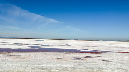 Alviso Marina County Park