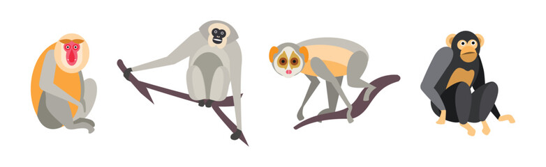 Different Monkey Animal with Long Tail Vector Set