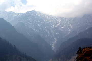 mountains with tree and sky background landscape