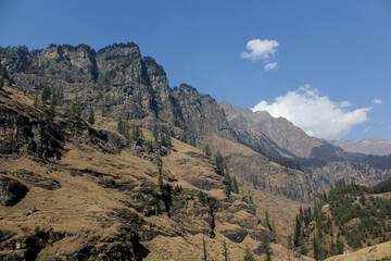 mountains with tree and sky background landscape