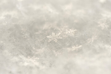 Detailed snowflake among snow macro