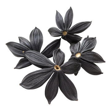 Black cumin isolated on a white background