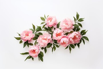 Obraz premium Pink peonies with green leaves