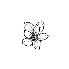 Obraz premium Elegant Line Art Flower Drawing Simple Floral Design