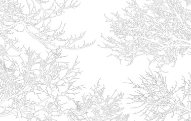 Frame of contours bare branches of trees, with copy space. Vector illustration © nosyrevy