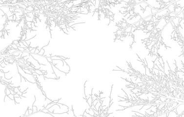 Frame of contours bare branches of trees, with copy space. Vector illustration © nosyrevy