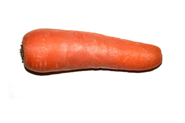 Close Up of a Large Carrot on a White Background