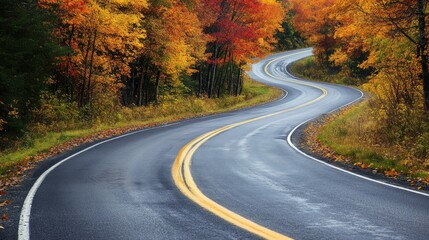 Winding Road Through Autumn Foliage