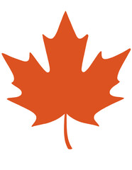 illustration of a maple leaf