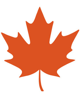 illustration of a maple leaf