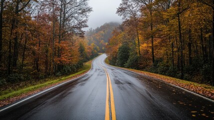 Fototapeta premium Winding Road Through Autumnal Forest in the Mist