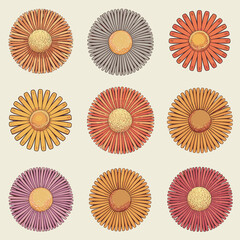 Retro Groovy Daisy Flower Set - Vibrant Floral Collection