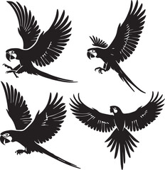 scarlet macaw, flying scarlet macaw, macaw silhouette, scarlet macaw vector, flying bird poses, bird flight illustration,