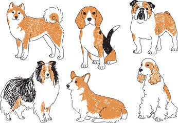 人気の中型犬の手描きイラストセット
