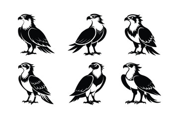 Osprey (Pandion haliaetus) mammal animal, labeled silhouette vector art illustration.