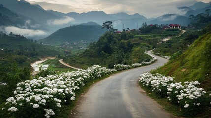 Fototapeta premium A scenic road with vibrant white flowers blooming along the edges, offering a stunning visual contrast to the green surroundings.