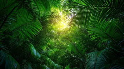 Lush green tropical rainforest canopy with sunlight filtering through leaves.