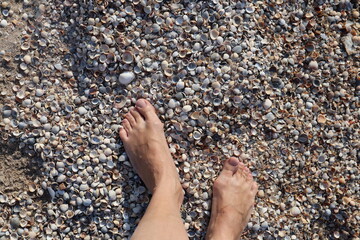 Beach photo: bare female feet standing on a large number of seashells. View from above.