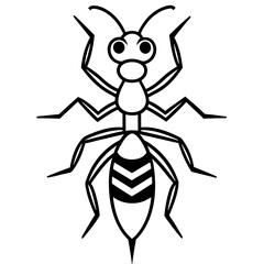 ant