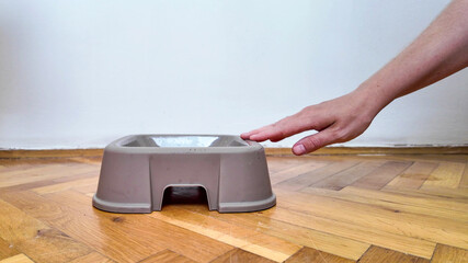 Fototapeta premium A person's hand gestures near an empty pet bowl on a wooden floor, illustrating pet care and feeding routines