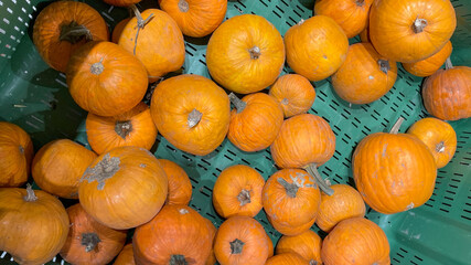 A pile of vibrant orange pumpkins in a green basket, perfect for fall harvest and Halloween celebrations