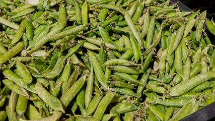 A bountiful harvest of fresh green peas symbolizes sustainable agriculture and healthy eating
