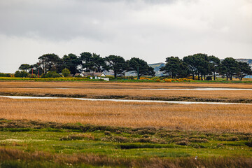 Spring Portmarnock Marshes on a cloudy day, Ireland