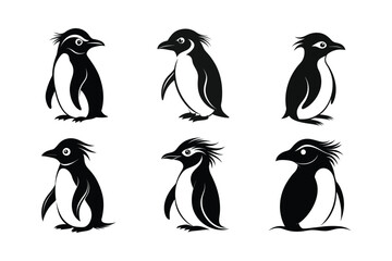 Naklejka premium Rockhopper Penguin (Eudyptes chrysocome) mammal animal, labeled silhouette vector art illustration.