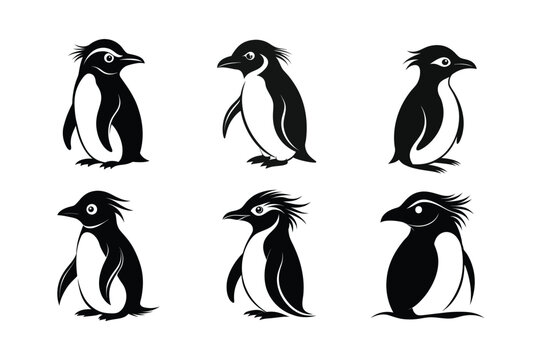 Rockhopper Penguin (Eudyptes chrysocome) mammal animal, labeled silhouette vector art illustration.