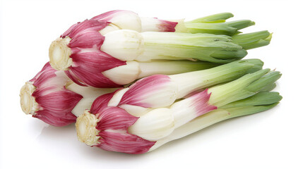 Fresh radicchio di Treviso on white background isolated design