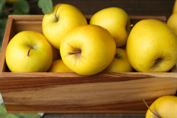 Ripe yellow apples in wooden crate on table, closeup