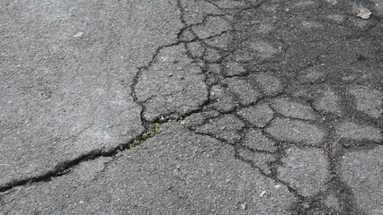 Obraz premium cracks in the asphalt covered with snow after frost, cracked texture of grey bitumen, road surface covered with snow after winter 