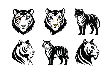 Snow Leopard (Panthera uncia) mammal animal, labeled silhouette vector art illustration.