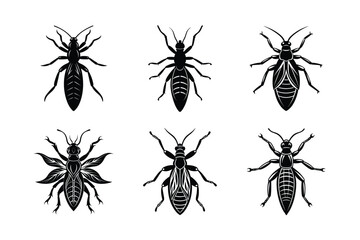 Thrips silhouette vector set with white background
