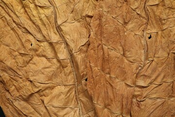 Dried tobacco leaves as background, top view