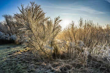 Frosty Sunrise Over Tranquil Lake Surrounded by Winter Nature, Hedensted, Denmark