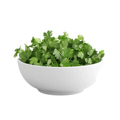 Fototapeta premium Fresh Parsley in White Bowl Green Herb Garnish Cooking Ingredient,