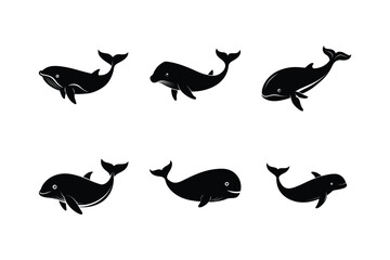 Sperm Whale (Physeter macrocephalus) mammal animal, labeled silhouette vector art illustration.
