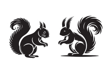 Squirrel silhouette and vector with white background