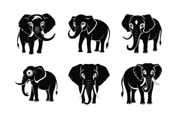 Sri Lankan Elephant (Elephas maximus maximus) mammal animal, labeled silhouette vector art illustration.