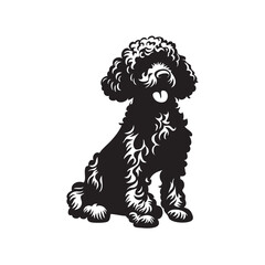 black and white poodle dog