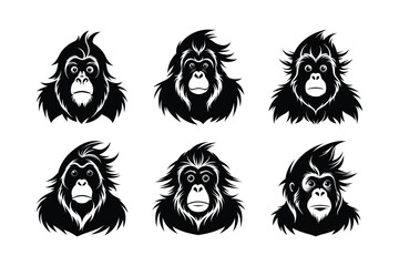 Sumatran Orangutan (Pongo abelii) mammal animal, labeled silhouette vector art illustration.