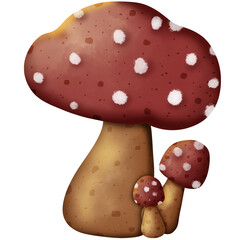 mushrooms on a white background