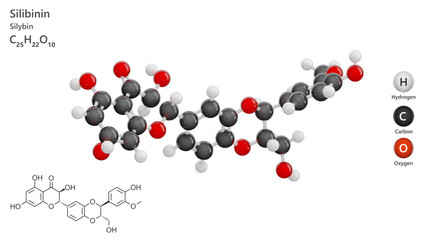 Molecule: Silibinin. Antioxidant. Molecular structure. Formula: C25H22O10. Chemical model: Ball and stick. White background. 3D illustration.