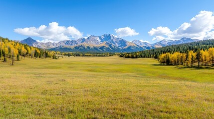 Fototapeta premium Autumnal mountain valley landscape, golden aspen trees, clear sky, background mountains. Ideal for travel brochures