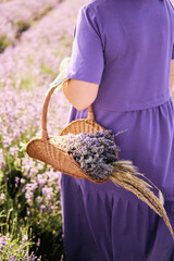Picnic in lavender field at sunny day. Vacation and travel concept. Blanket, fruits, cheese and bread for picnic