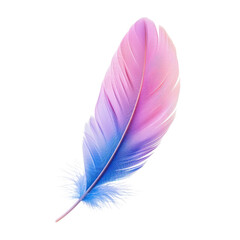 Pink and blue feather on black background captured in high detail for artistic and nature themes.