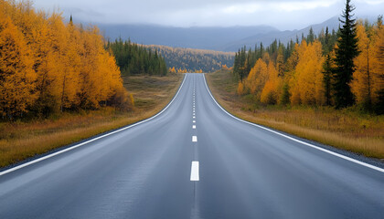 Beautiful view of asphalt road going through autumn forest top view